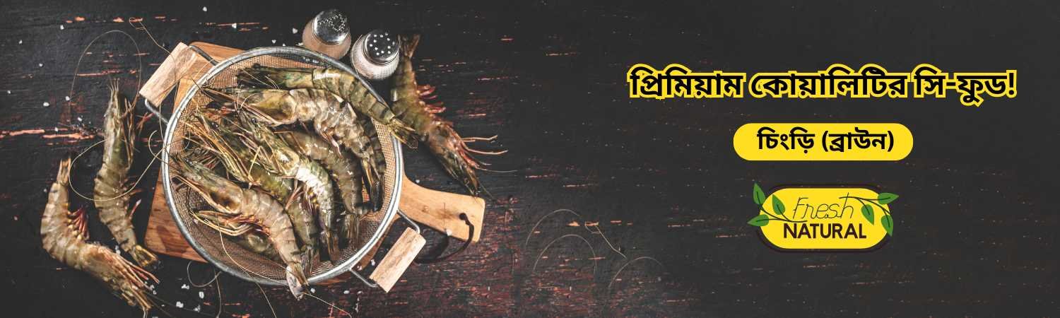 Bengal-Trips Bengal-Trips