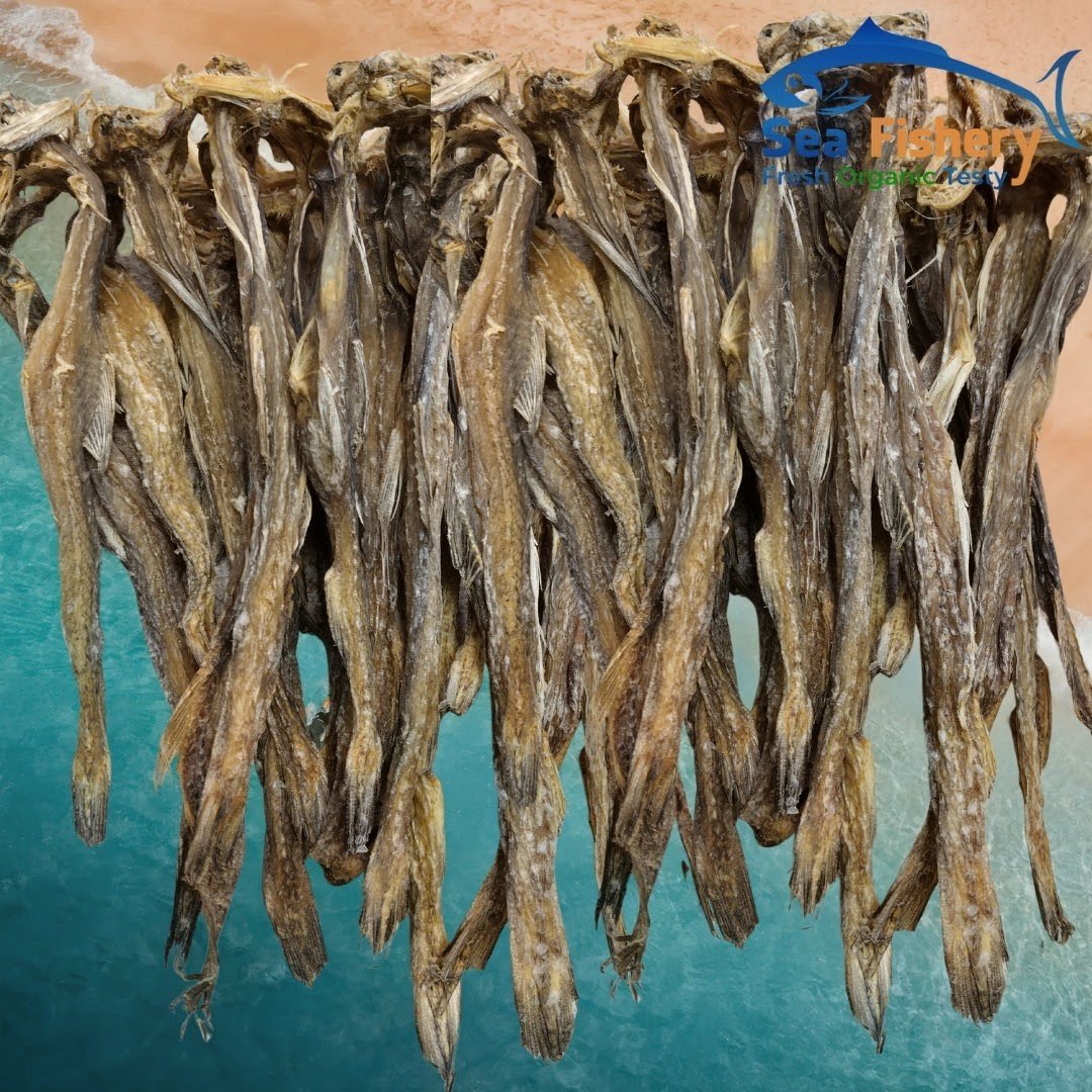 AJL Sea Food