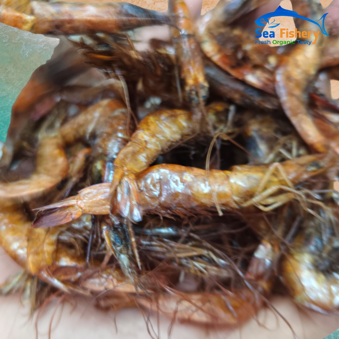 কেং চিংড়ি